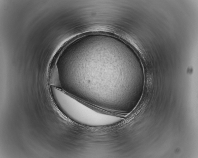 X0000099291116200805161319