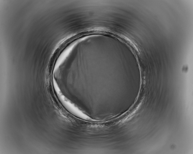 X0000099291117200805161319