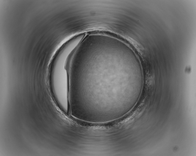 X0000099291118200805161319