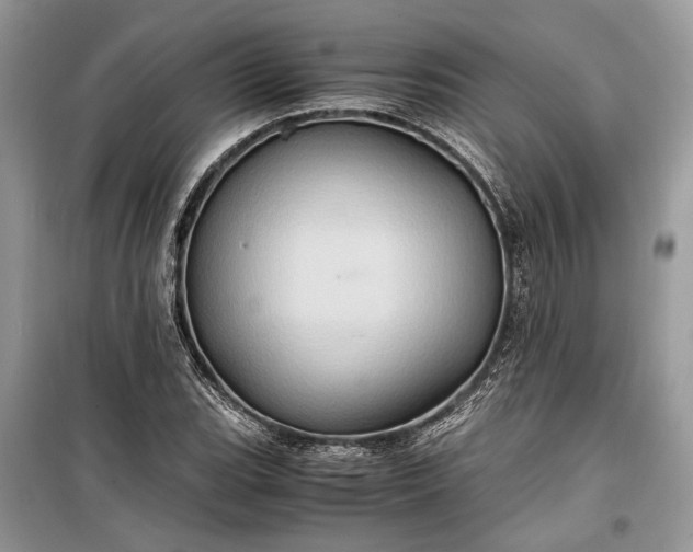 X0000099291119200805161319