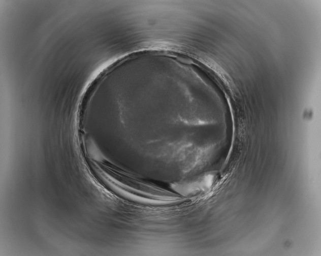 X0000099291120200805161319