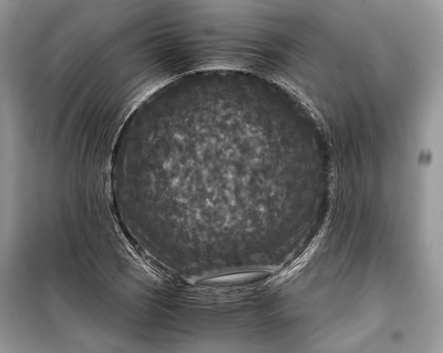 X0000099291121200805161319