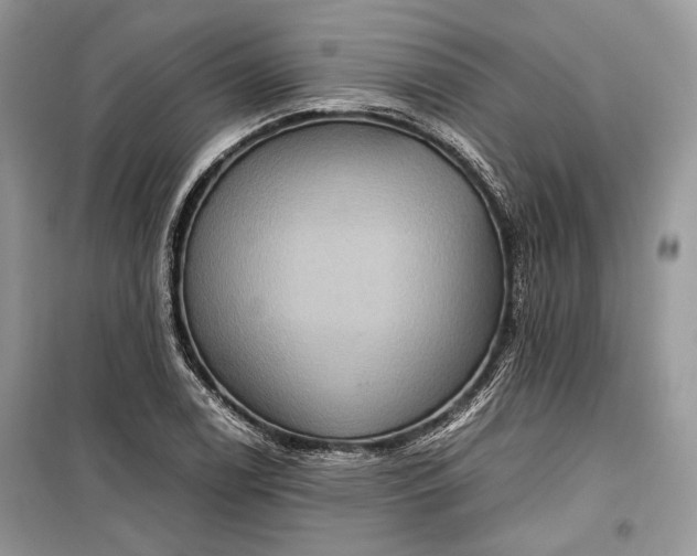 X0000099291122200805161319