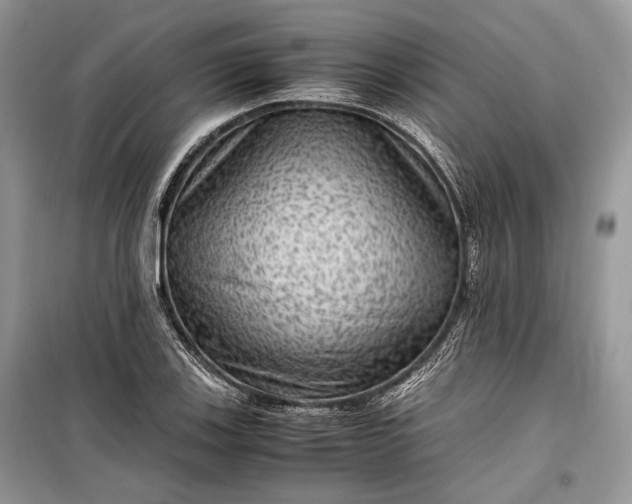 X0000099291123200805161319