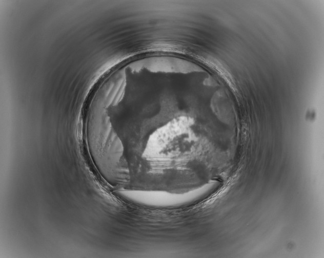 X0000099291125200805161319