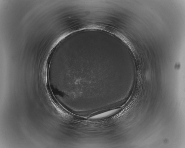 X0000099291127200805161319