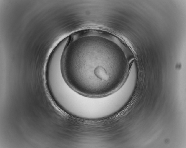 X0000099291128200805161319