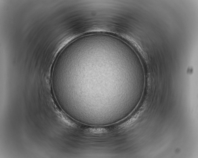 X0000099291129200805161319