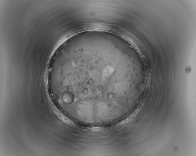 X0000099291130200805161319