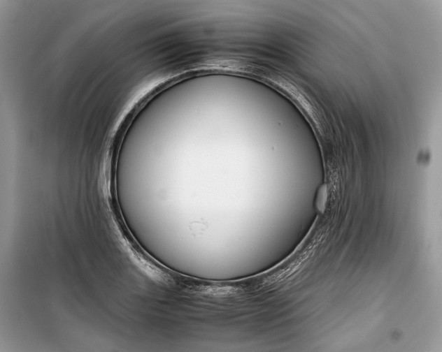 X0000099291131200805161319