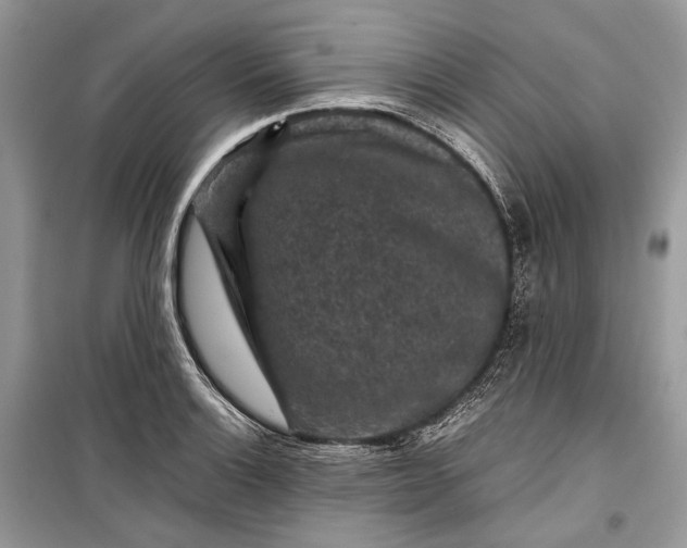 X0000099291132200805161319