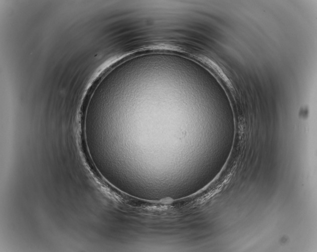 X0000099291133200805161319