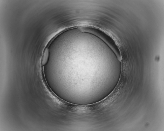 X0000099291134200805161319