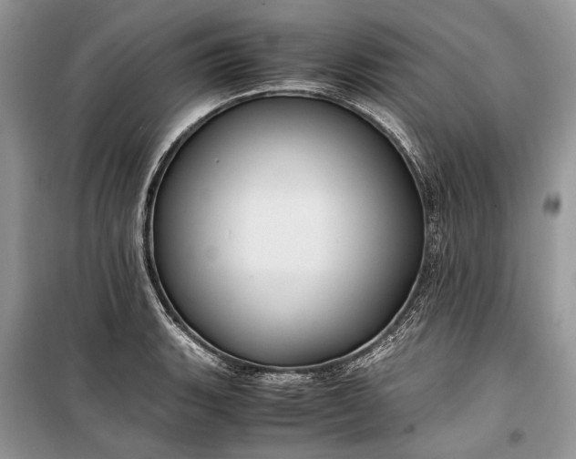 X0000099291135200805161319