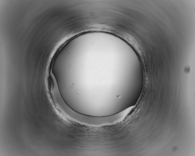 X0000099291136200805161319