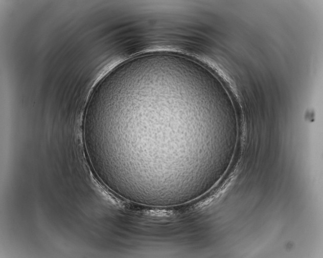 X0000099291137200805161319