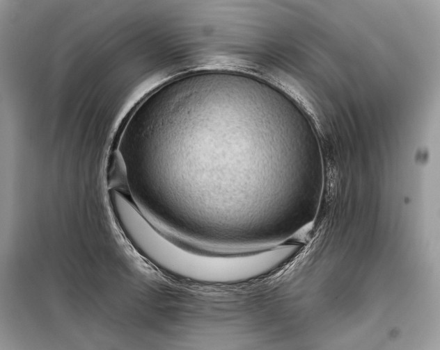 X0000099291138200805161319