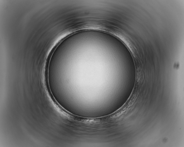 X0000099291139200805161319