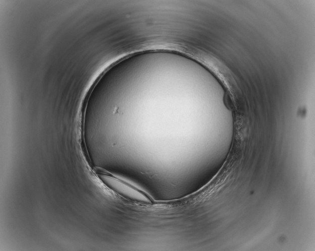 X0000099291140200805161319