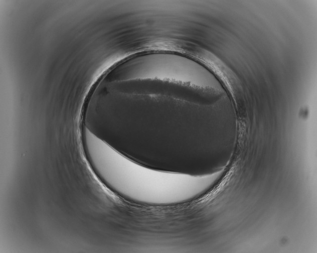 X0000099291141200805161319