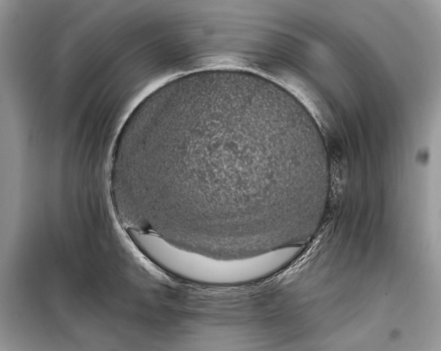 X0000099291142200805161319