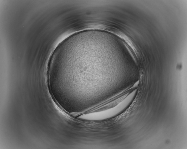 X0000099291143200805161319