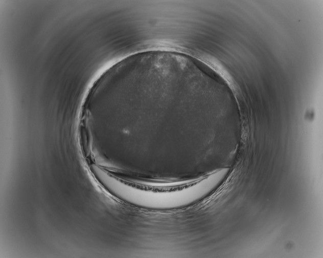 X0000099291144200805161319