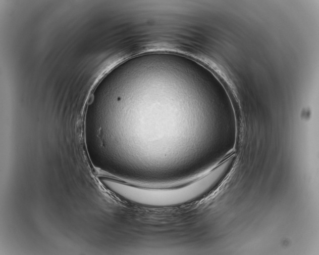 X0000099291145200805161319