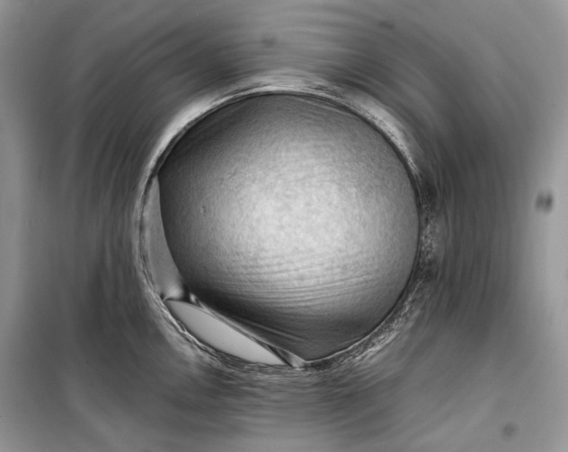 X0000099291146200805161319