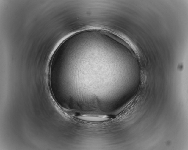 X0000099291148200805161319