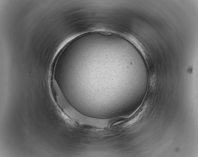 X0000099291149200805161319