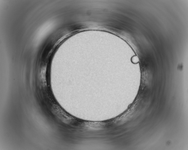 X0000099291150200805161319