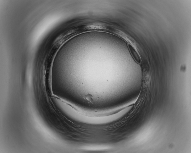 X0000099291151200805161319