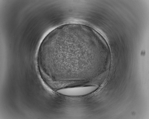 X0000099291152200805161319