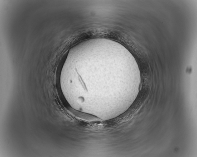 X0000099291153200805161318