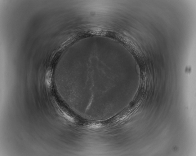 X0000099291154200805161318