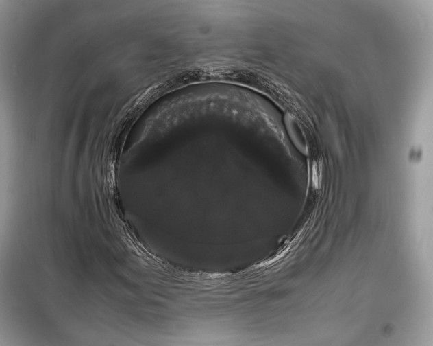 X0000099291155200805161318