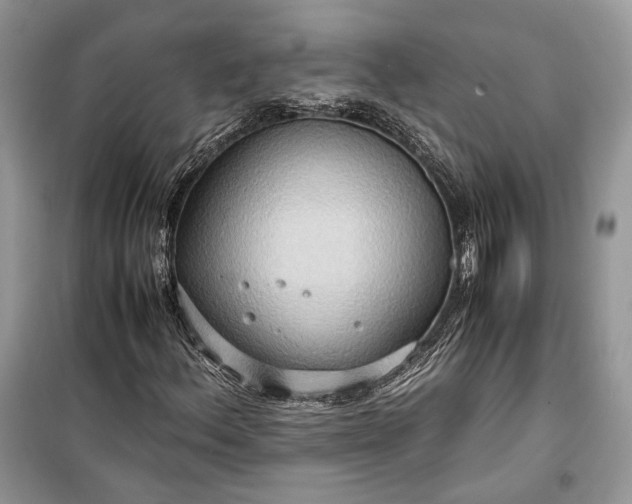 X0000099291156200805161318