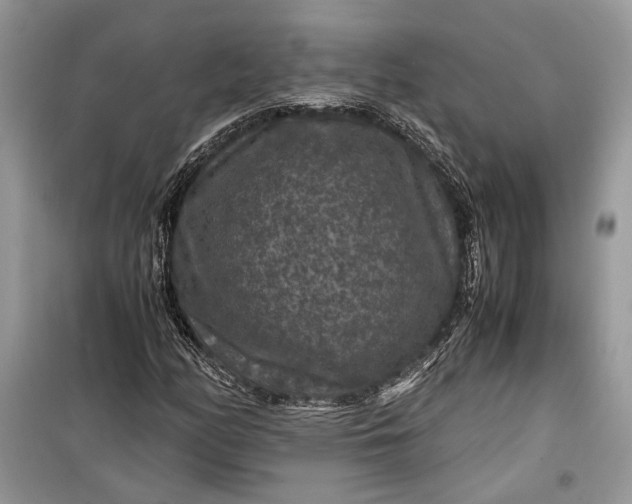 X0000099291158200805161318