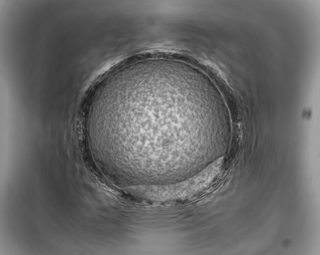 X0000099291159200805161318