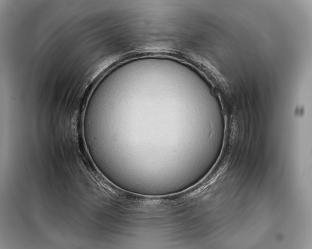 X0000099291162200805161318