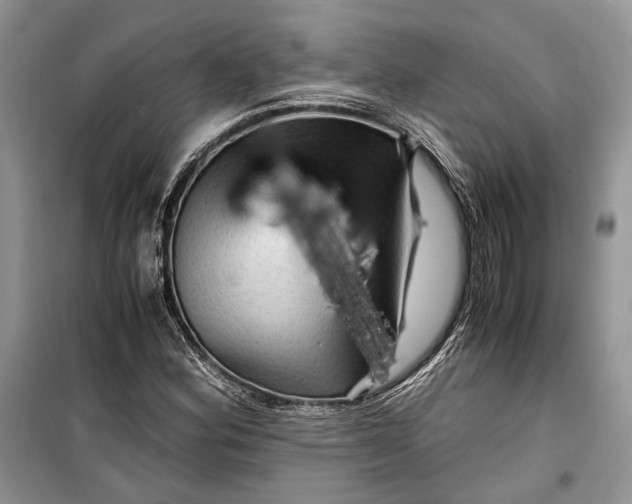 X0000099291164200805161318