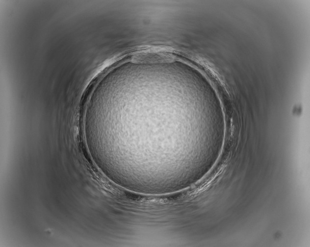 X0000099291165200805161318