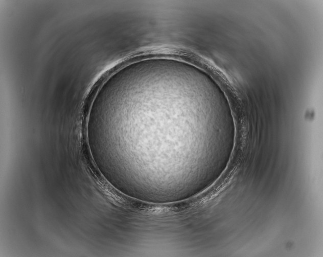 X0000099291166200805161318