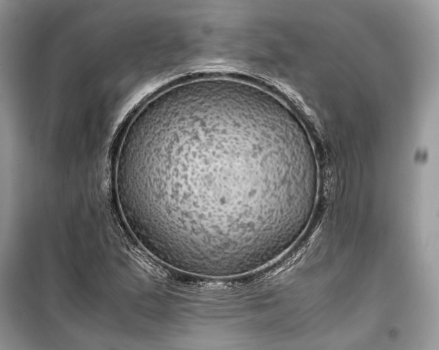 X0000099291167200805161318