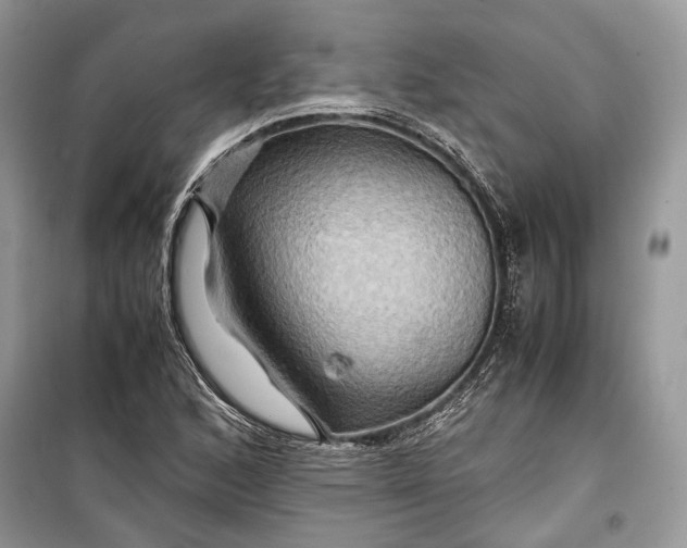 X0000099291168200805161318