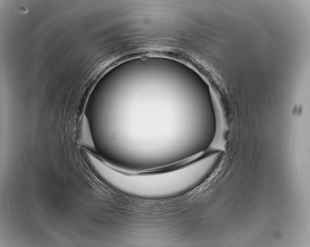 X0000099291169200805161318