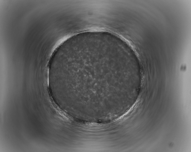 X0000099291171200805161318