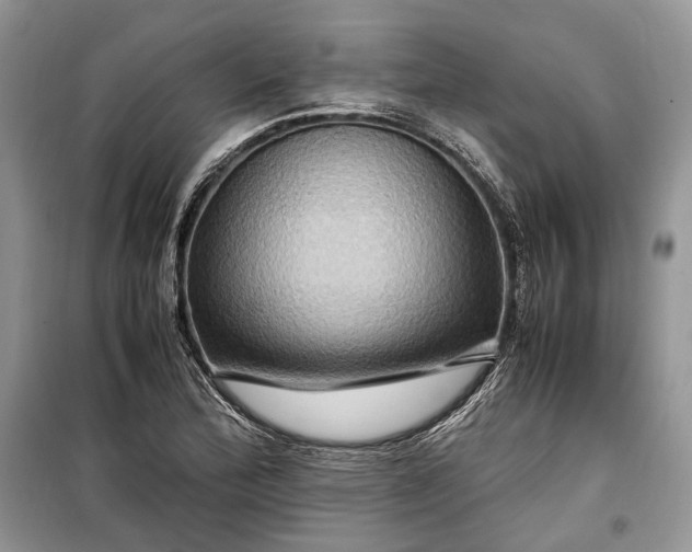 X0000099291172200805161318