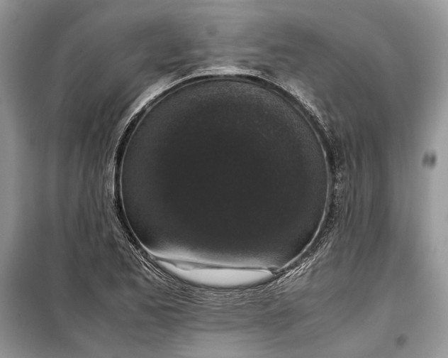 X0000099291173200805161318